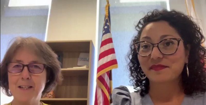 legislative-womens-caucus-video-call