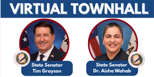 Virtual Townhall graphic with Senator Grayson and Senator Wahab's headshots